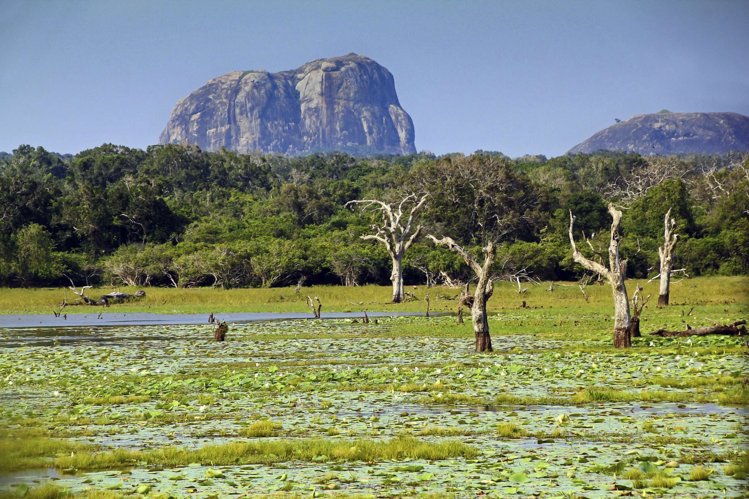 Yala, Sri Lanka